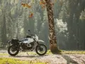 Biały motocykl z sakwami, zaparkowany przy drzewie w lesie. Idealny do testów w rankingu opon motocyklowych.