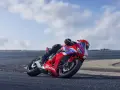 Czerwony motocykl Honda CBR650R z kierowcą pochylonym na zakręcie toru wyścigowego.