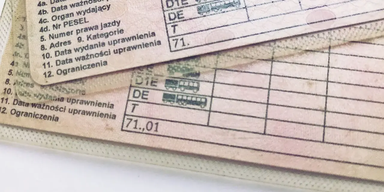 Fragment polskiego prawa jazdy z widocznymi polami: "Data wydania prawa jazdy" i "Data ważności prawa jazdy".