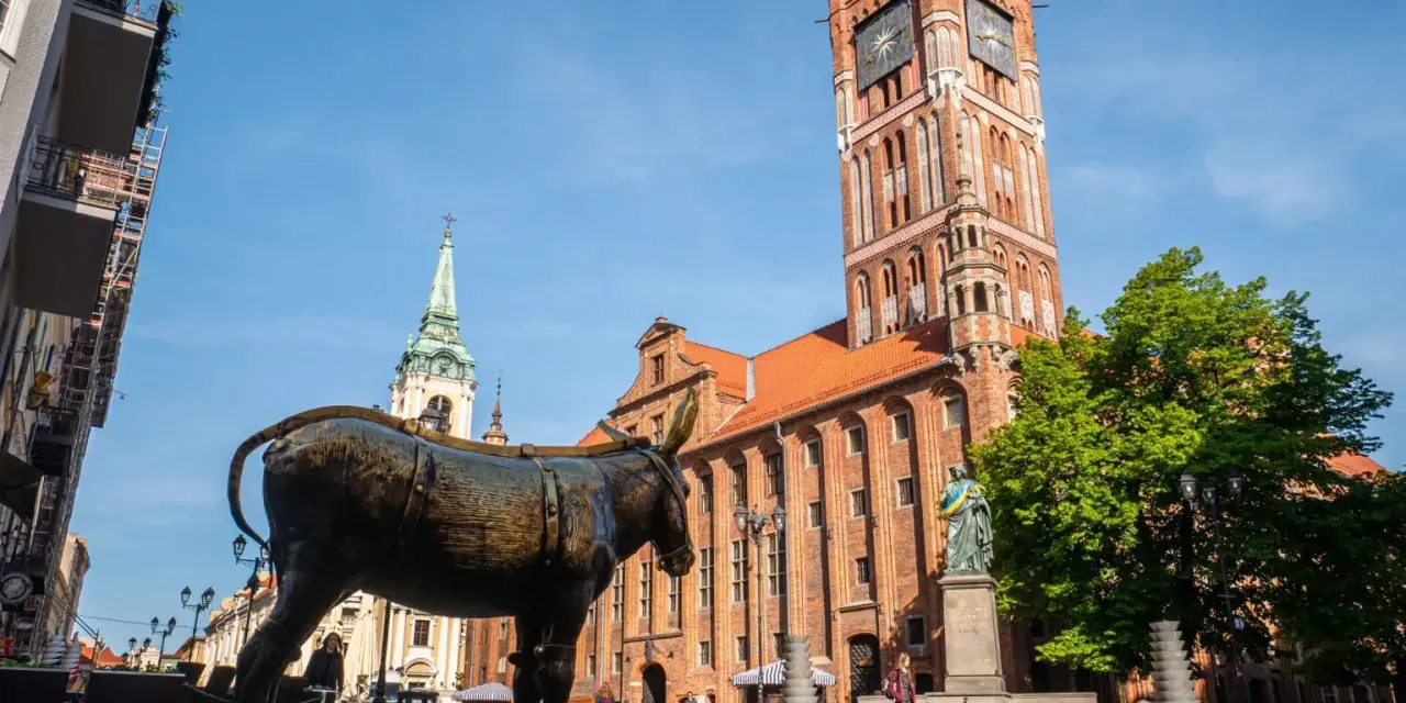 Pomnik osła na Rynku Staromiejskim w Toruniu, mieście na trasie Toruń-Świecie. W tle Ratusz Staromiejski i kościół.