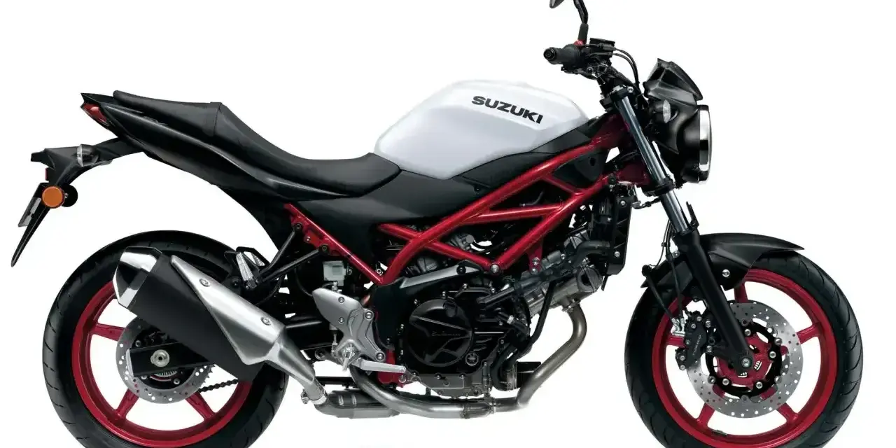 Biały Suzuki SV 650 z czerwonym stelażem. Sprawdź, jaka jest wysokość siedzenia, by poczuć wolność na drodze.