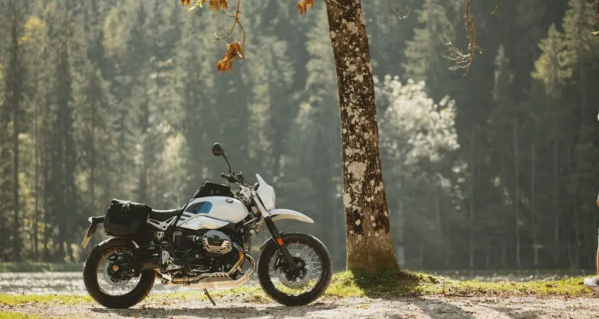 Biały motocykl z sakwami, zaparkowany przy drzewie w lesie. Idealny do testów w rankingu opon motocyklowych.