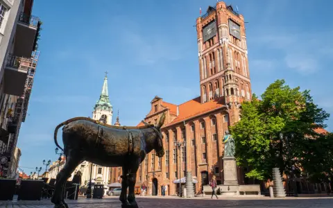 Pomnik osła na Rynku Staromiejskim w Toruniu, mieście na trasie Toruń-Świecie. W tle Ratusz Staromiejski i kościół.