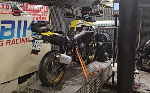 Żółto-czarne konie mechaniczne na hamowni, gotowe do testów.