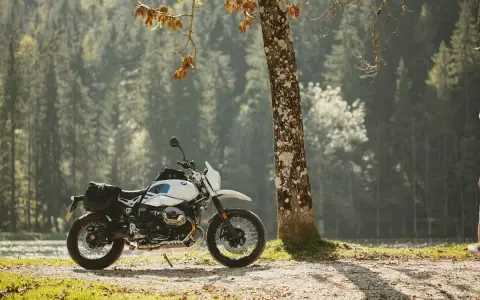 Biały motocykl z sakwami, zaparkowany przy drzewie w lesie. Idealny do testów w rankingu opon motocyklowych.