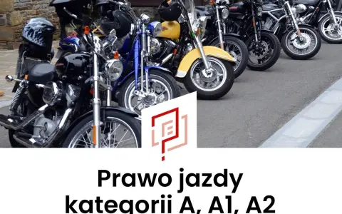 Rząd motocykli, od czarnych po żółty, gotowych do jazdy. Marzysz o własnym prawie jazdy na motor?
