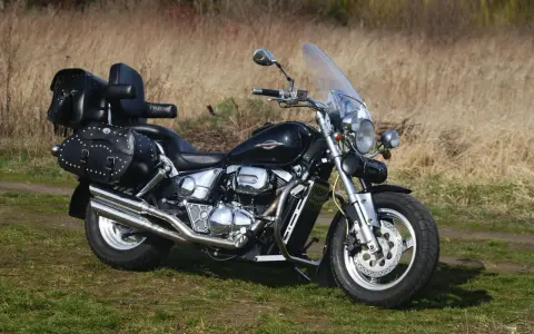Czarny Suzuki Marauder z sakwami i szybą, gotowy na podróż przez jesienne krajobrazy.