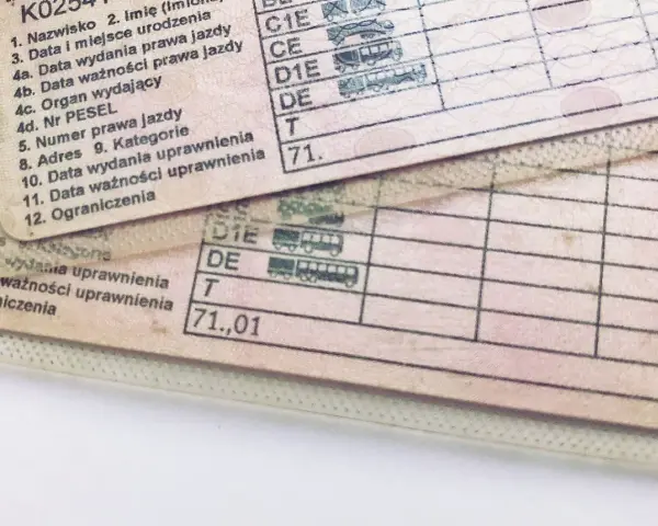 Fragment polskiego prawa jazdy z widocznymi polami: "Data wydania prawa jazdy" i "Data ważności prawa jazdy".