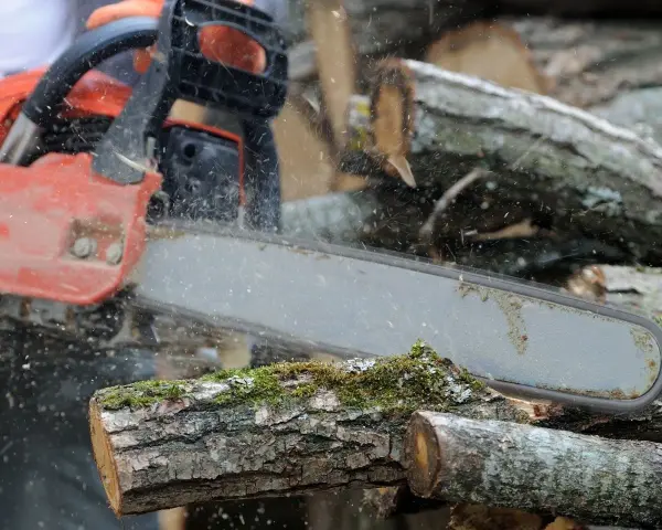 Praca z piłą łańcuchową Husqvarna wymaga precyzji. Regulacja gaźnika zapewnia optymalną pracę silnika podczas cięcia drewna.