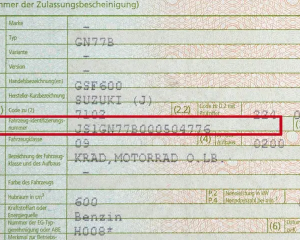 Fragment dowodu rejestracyjnego pojazdu z zaznaczonym numerem VIN.