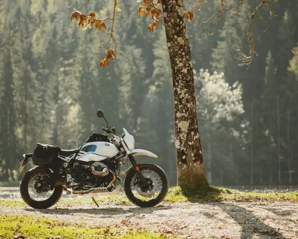 Biały motocykl z sakwami, zaparkowany przy drzewie w lesie. Idealny do testów w rankingu opon motocyklowych.