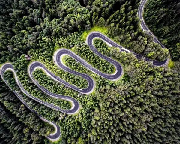 Wężykująca droga przez gęsty las, idealna na jednodniowy wypad motocyklowy.