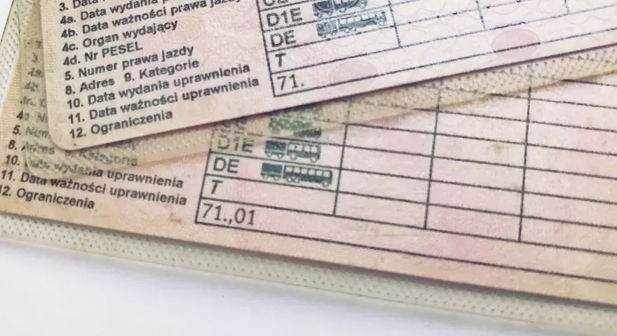 Fragment polskiego prawa jazdy z widocznymi polami: "Data wydania prawa jazdy" i "Data ważności prawa jazdy".