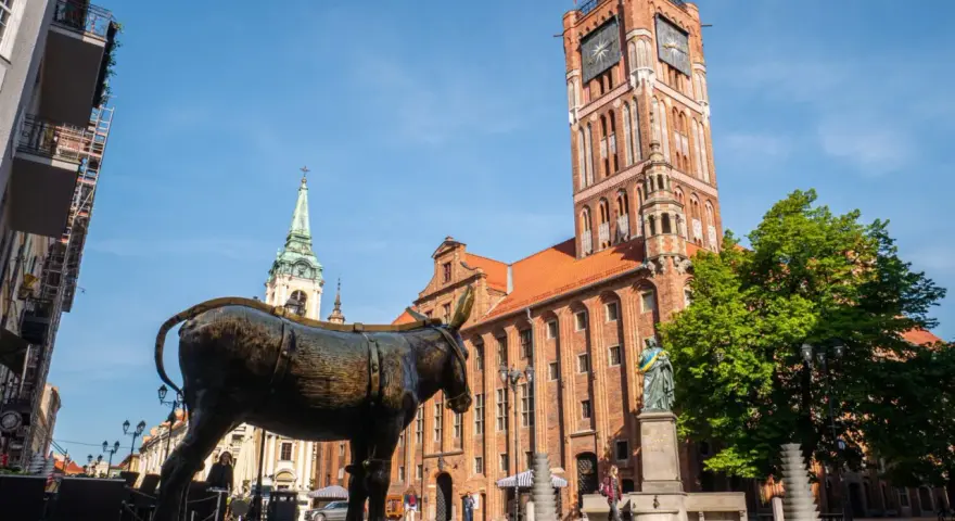 Pomnik osła na Rynku Staromiejskim w Toruniu, mieście na trasie Toruń-Świecie. W tle Ratusz Staromiejski i kościół.