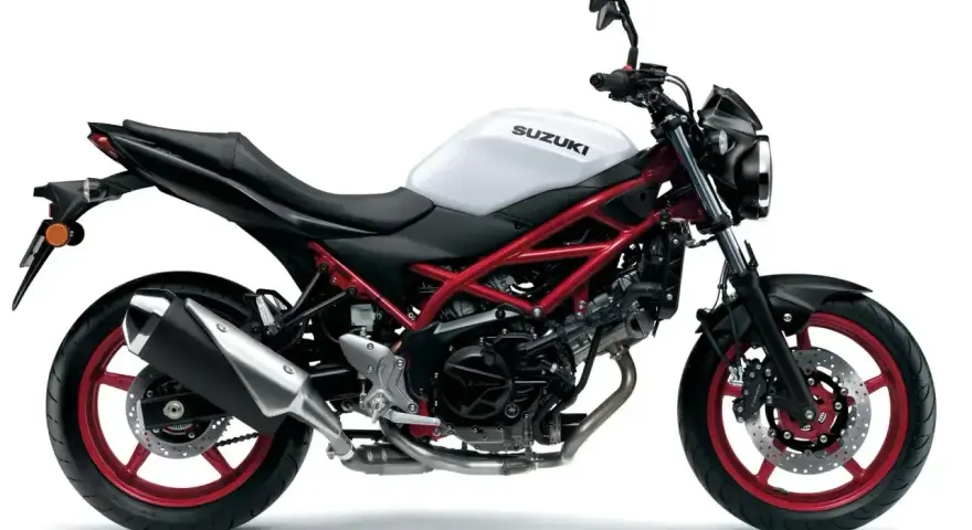 Biały Suzuki SV 650 z czerwonym stelażem. Sprawdź, jaka jest wysokość siedzenia, by poczuć wolność na drodze.