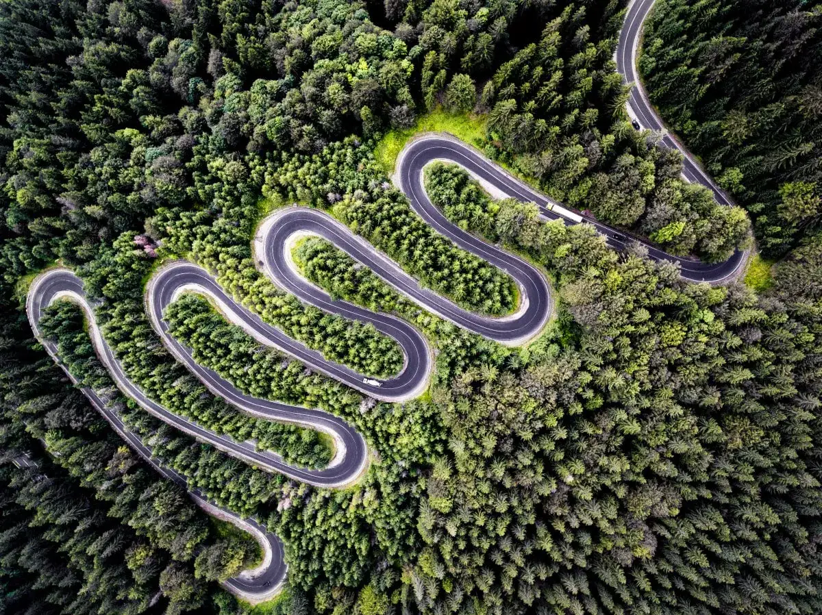 Malownicza serpentyna w lesie, idealna na jednodniowy wypad motocyklowy. Widać samochody i autobus.