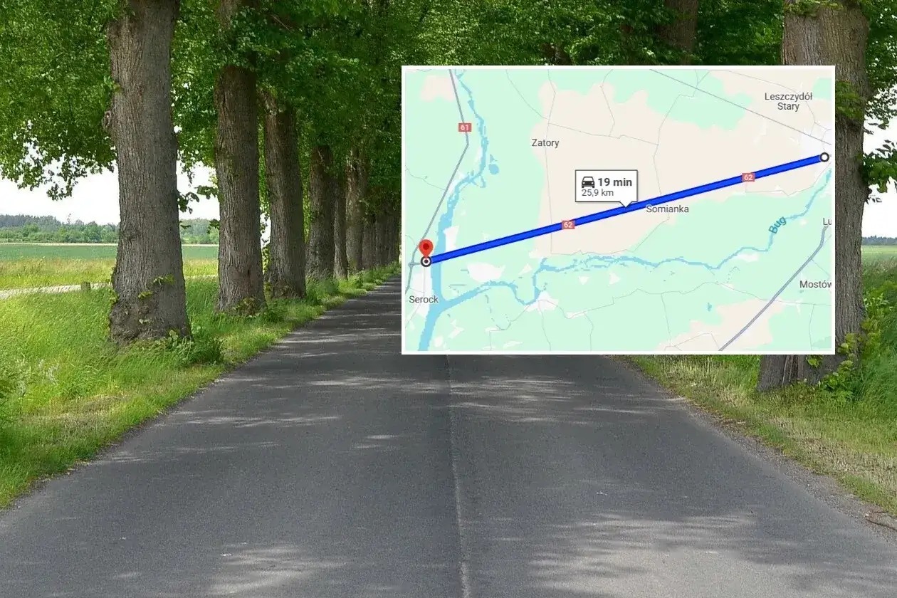 Aleja drzew wzdłuż drogi, która na mapie pokazuje najdłuższą prostą drogę w Polsce.