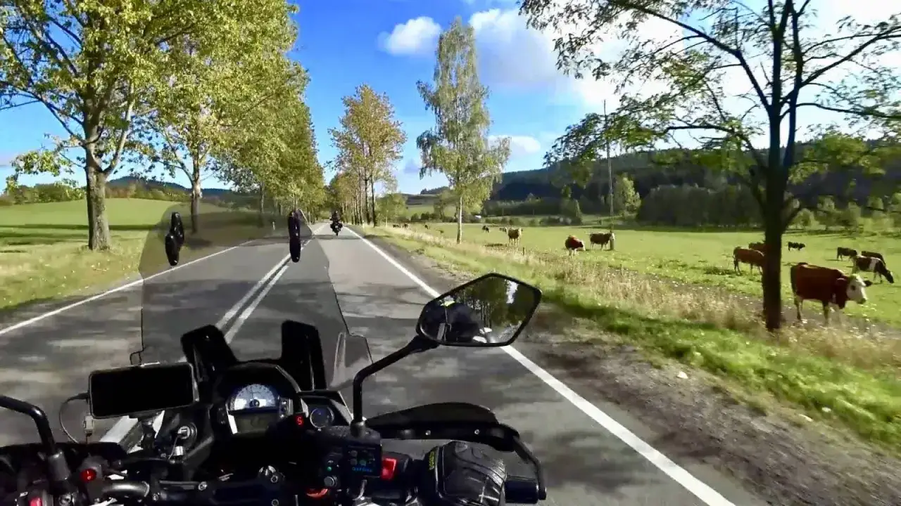 Jazda motocyklem przez malowniczą przełęcz Tąpadła. Po bokach drogi rosną drzewa, a na zielonych pastwiskach pasą się krowy.