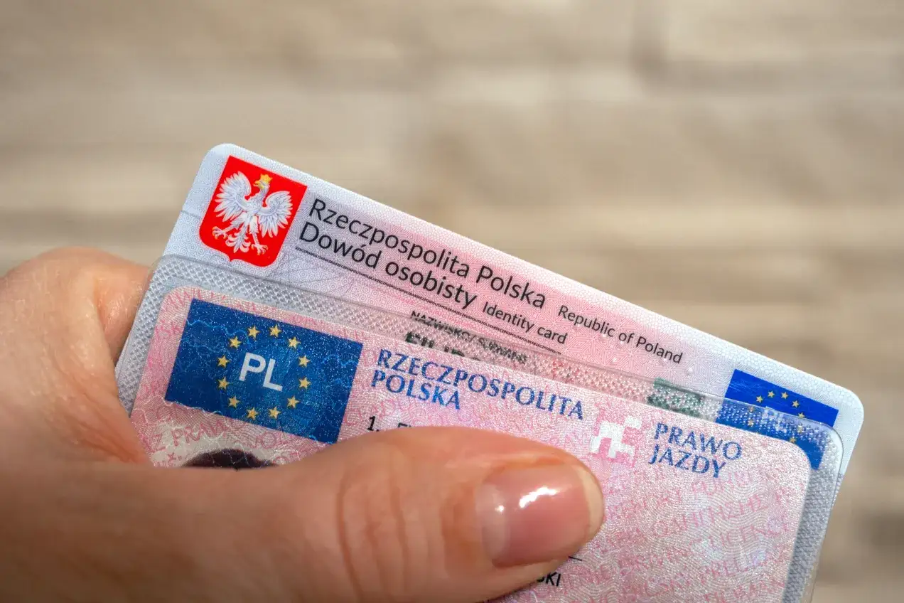 Dłoń trzyma polski dowód osobisty i prawo jazdy. Zastanawiasz się, ile się czeka na prawo jazdy?